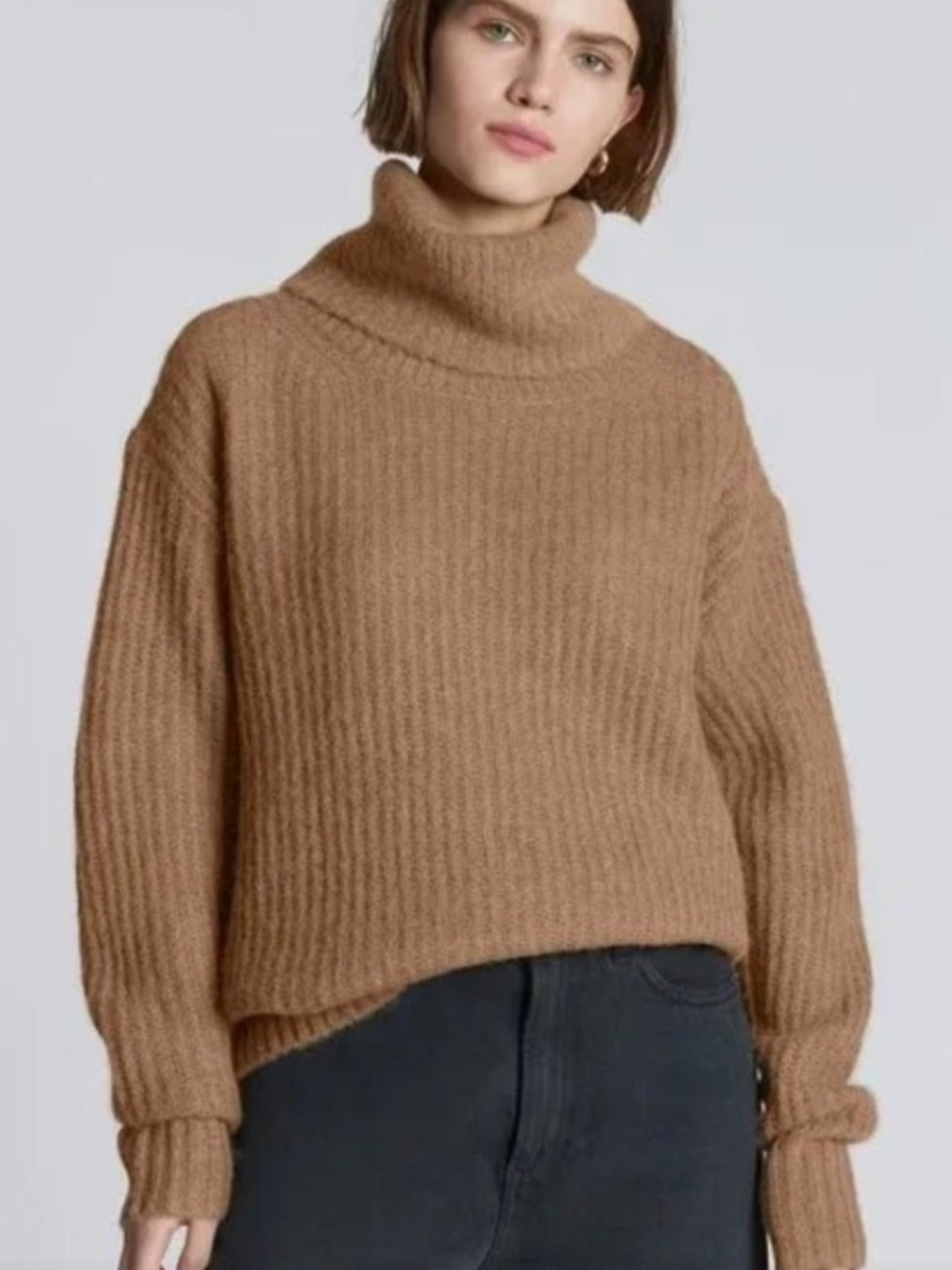 Everlane Ribbed Turtleneck Sweater - Beige